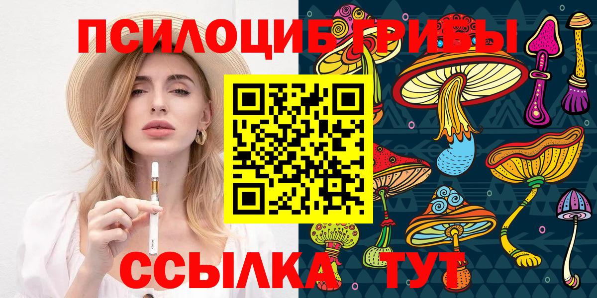 Галлюциногенные грибы GOLDEN TEACHER  Псилоцибиновые грибы MAGIC MUSHROOMS  Петропавловск-Камчатский  Вход с VPN 
